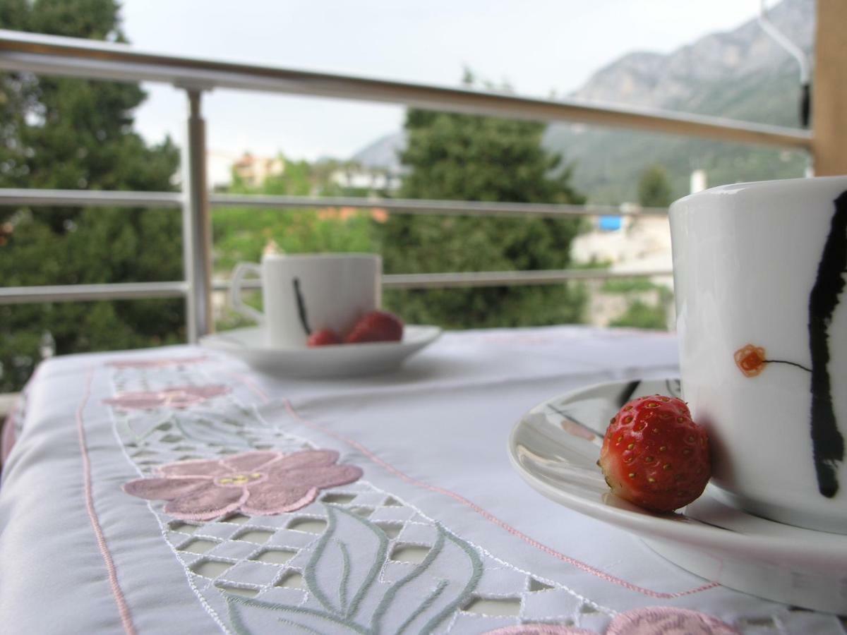 Musa Apartment Gradac  Dış mekan fotoğraf